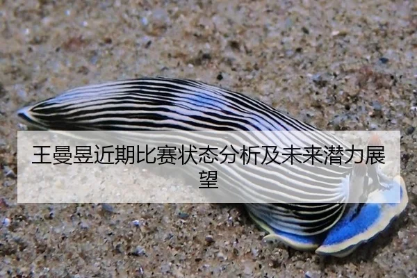 王曼昱近期比赛状态分析及未来潜力展望
