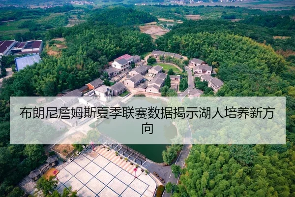布朗尼詹姆斯夏季联赛数据揭示湖人培养新方向