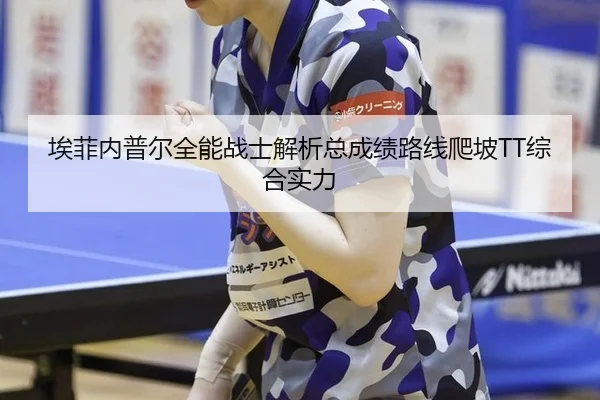 埃菲内普尔全能战士解析总成绩路线爬坡TT综合实力