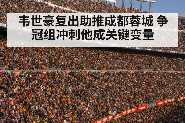football stadium crowd